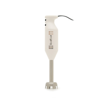 Міксер занурювальний GoodFood BL160 WHITE