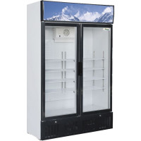 Шафа холодильна Forcar G-SNACK638L2TNG