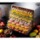 Дегідратор GoodFood WS10 PRO