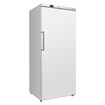 Шафа холодильна Gooder BR400V