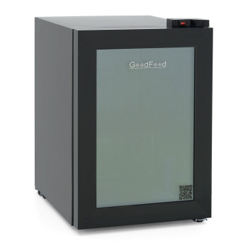 Шафа морозильна GoodFood GF-UF60GD